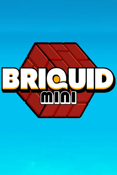 Briquid Mini